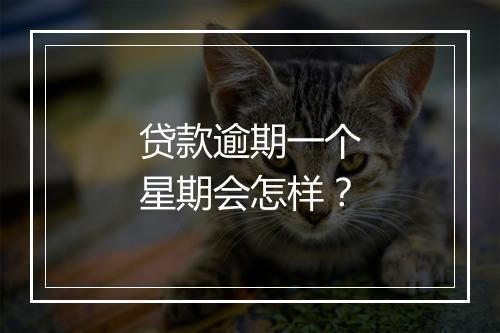 贷款逾期一个星期会怎样？