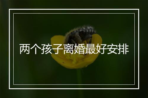 两个孩子离婚最好安排