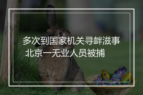 多次到国家机关寻衅滋事 北京一无业人员被捕