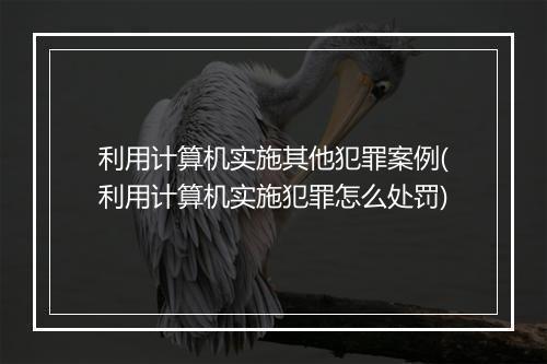 利用计算机实施其他犯罪案例(利用计算机实施犯罪怎么处罚)