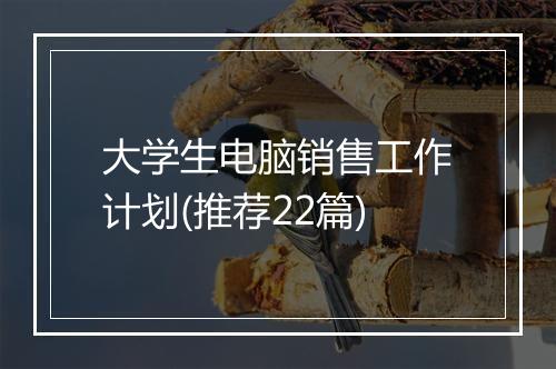 大学生电脑销售工作计划(推荐22篇)