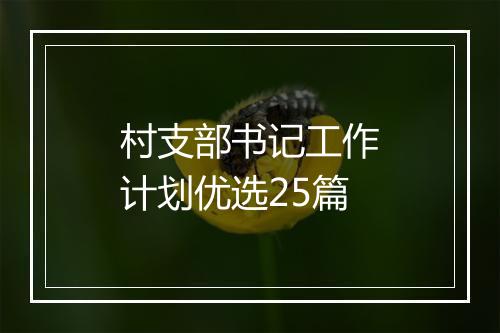 村支部书记工作计划优选25篇