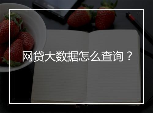 网贷大数据怎么查询？