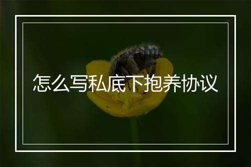 怎么写私底下抱养协议