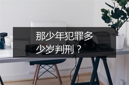 那少年犯罪多少岁判刑？