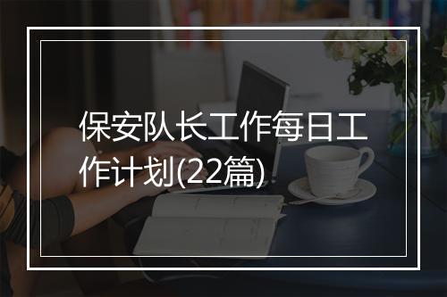 保安队长工作每日工作计划(22篇)