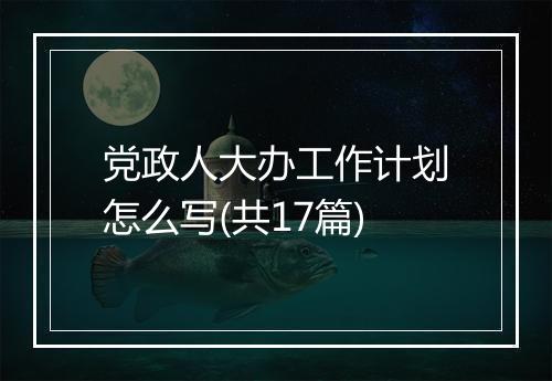 党政人大办工作计划怎么写(共17篇)