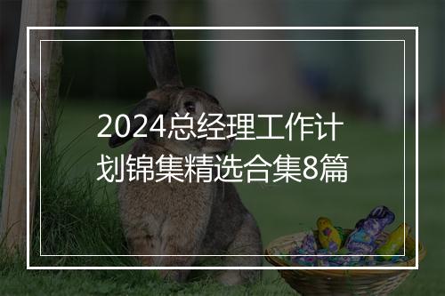 2024总经理工作计划锦集精选合集8篇