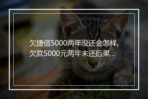 欠捷信5000两年没还会怎样,欠款5000元两年未还后果严重吗