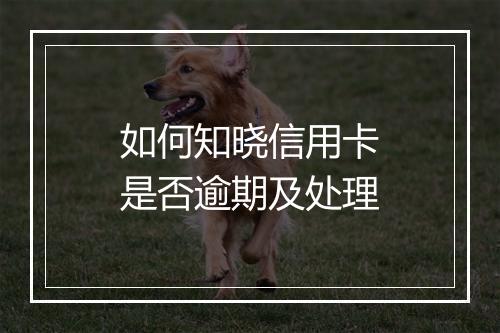如何知晓信用卡是否逾期及处理
