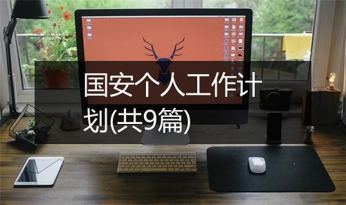国安个人工作计划(共9篇)