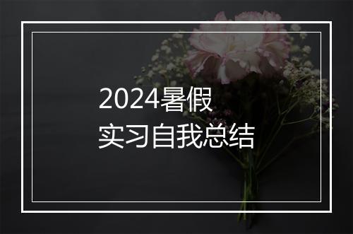 2024暑假实习自我总结