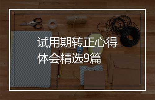 试用期转正心得体会精选9篇