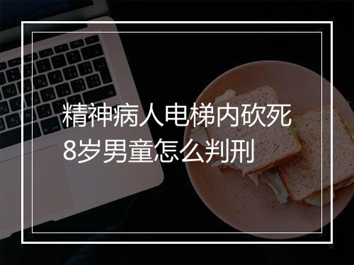 精神病人电梯内砍死8岁男童怎么判刑