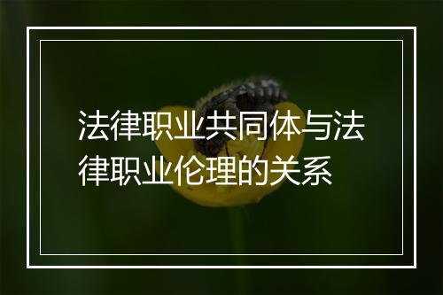 法律职业共同体与法律职业伦理的关系