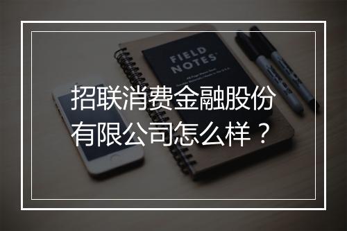 招联消费金融股份有限公司怎么样？