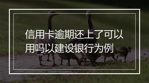 信用卡逾期还上了可以用吗以建设银行为例