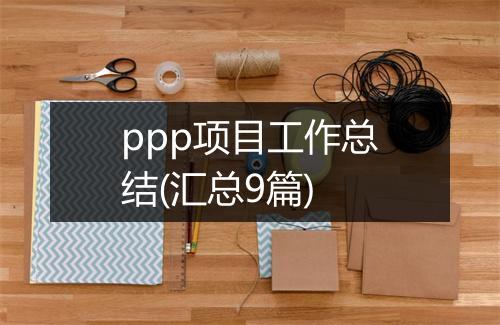ppp项目工作总结(汇总9篇)