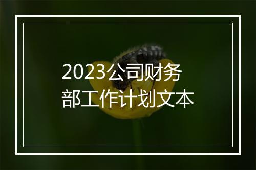 2023公司财务部工作计划文本