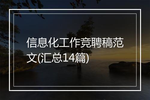 信息化工作竞聘稿范文(汇总14篇)
