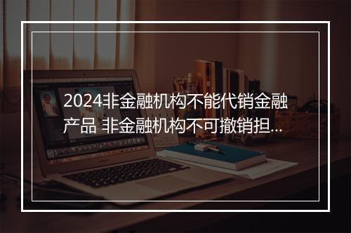 2024非金融机构不能代销金融产品 非金融机构不可撤销担保协议书甄选通用版10篇