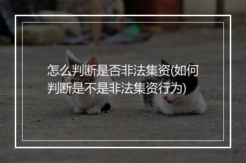 怎么判断是否非法集资(如何判断是不是非法集资行为)