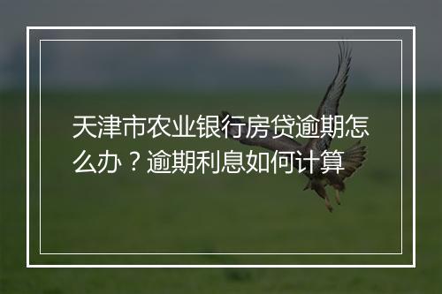 天津市农业银行房贷逾期怎么办？逾期利息如何计算