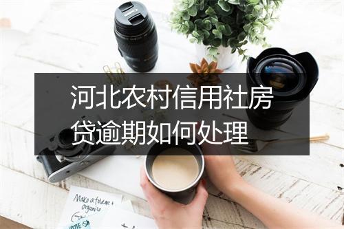 河北农村信用社房贷逾期如何处理
