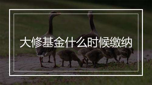 大修基金什么时候缴纳
