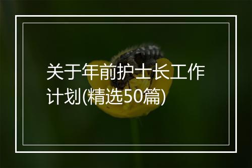 关于年前护士长工作计划(精选50篇)