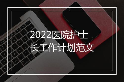 2022医院护士长工作计划范文