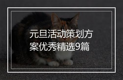 元旦活动策划方案优秀精选9篇