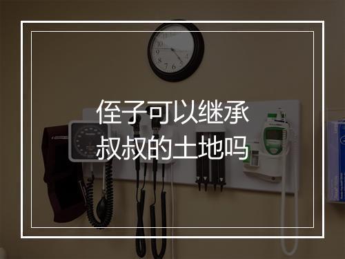 侄子可以继承叔叔的土地吗
