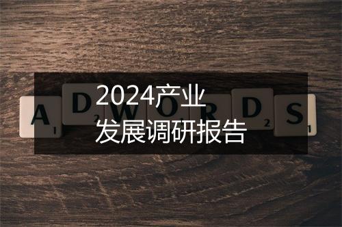 2024产业发展调研报告