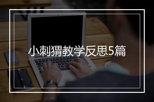 小刺猬教学反思5篇