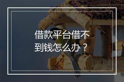 借款平台借不到钱怎么办？
