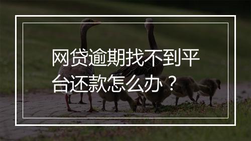 网贷逾期找不到平台还款怎么办？