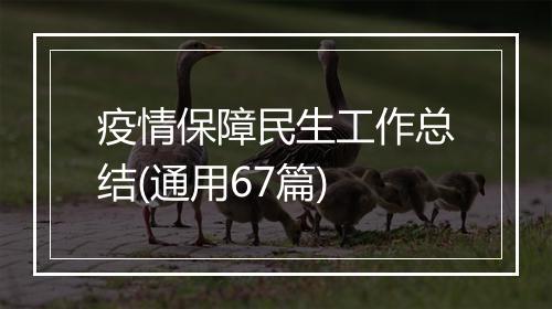 疫情保障民生工作总结(通用67篇)