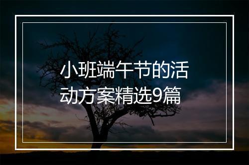 小班端午节的活动方案精选9篇