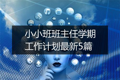 小小班班主任学期工作计划最新5篇
