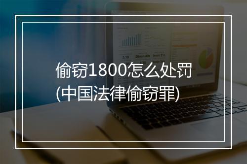 偷窃1800怎么处罚(中国法律偷窃罪)