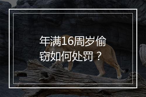 年满16周岁偷窃如何处罚？