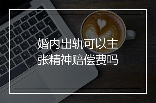 婚内出轨可以主张精神赔偿费吗