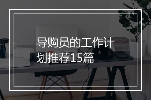 导购员的工作计划推荐15篇