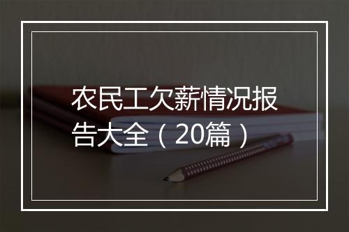 农民工欠薪情况报告大全（20篇）