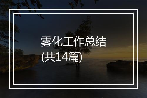 雾化工作总结(共14篇)