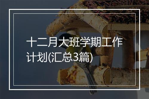 十二月大班学期工作计划(汇总3篇)