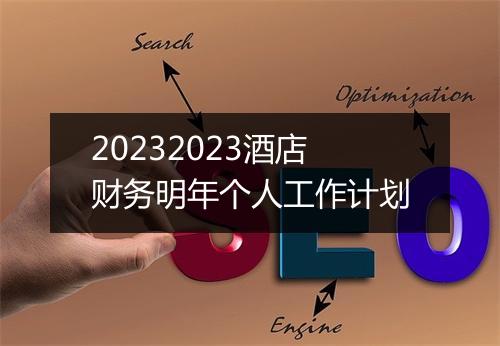 20232023酒店财务明年个人工作计划