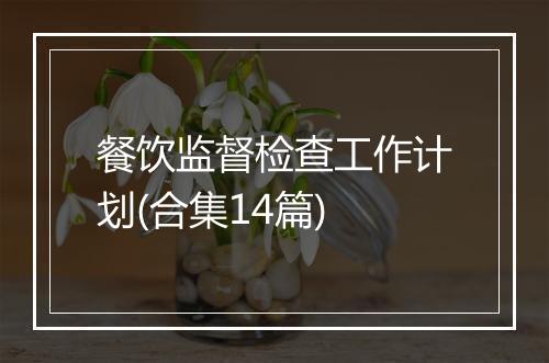 餐饮监督检查工作计划(合集14篇)