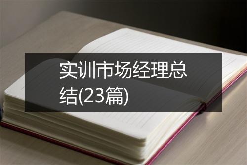 实训市场经理总结(23篇)